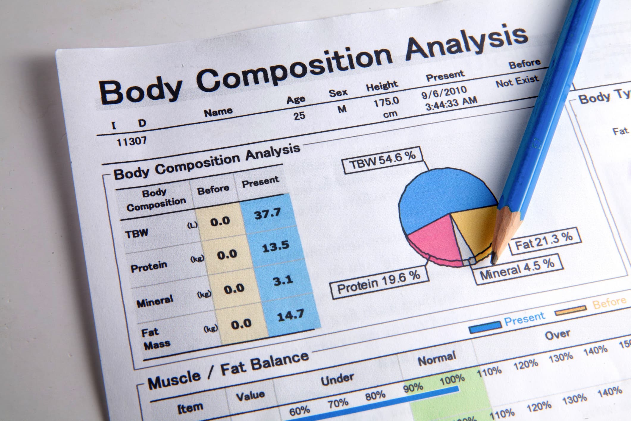 Body Composition Scans Explained